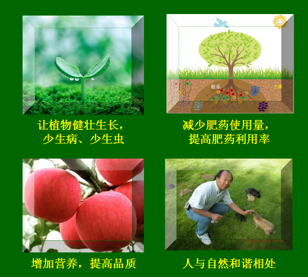 河南中威【原药讲堂】你好，我是植调剂