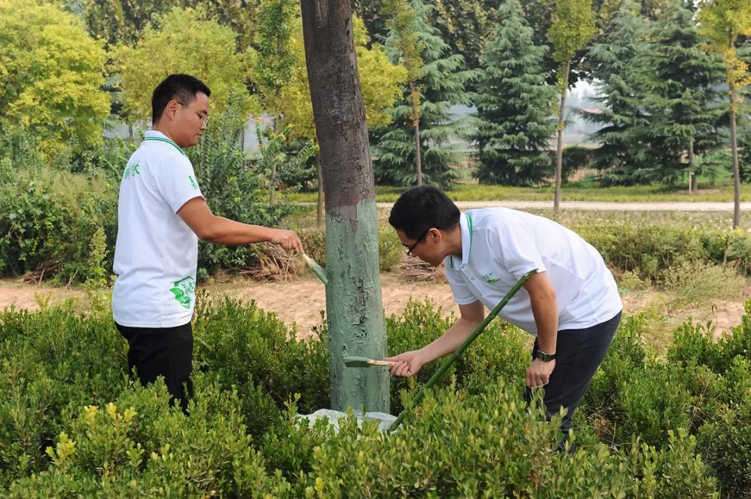 中威,中威春雨,核桃秋冬养护,快活林涂白剂，快活林防冻剂