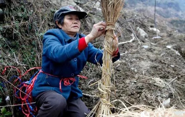 中威,中威春雨,核桃秋冬养护,快活林涂白剂，快活林防冻剂