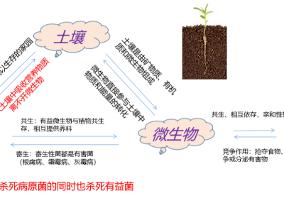 【新品上市】养根护根，提高免疫，促花保果，活化土壤，提高品质——菌机密